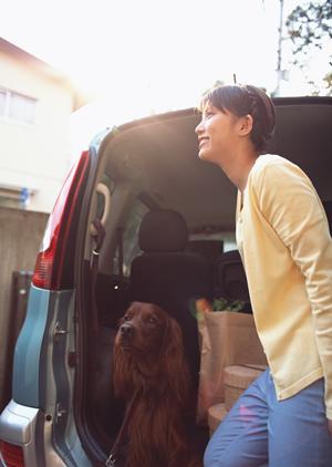 ピジョンの飼育はブリーダー選びが重要