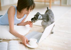 シロアリ駆除ならアサンテ|即日対応・土日祝も可能な信頼のサービス