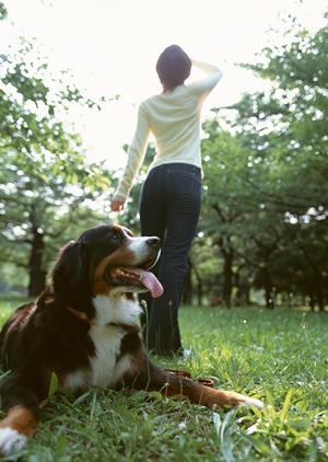 子犬の管理がしっかりのショップ